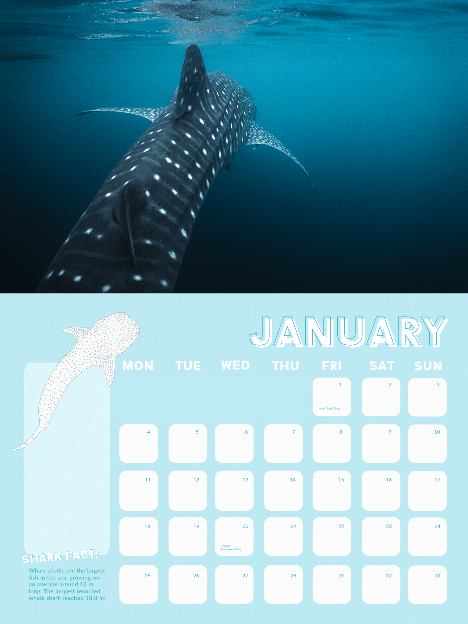 GoTagMe-Whale Shark-Calendar Whale Shark Calendar 2021