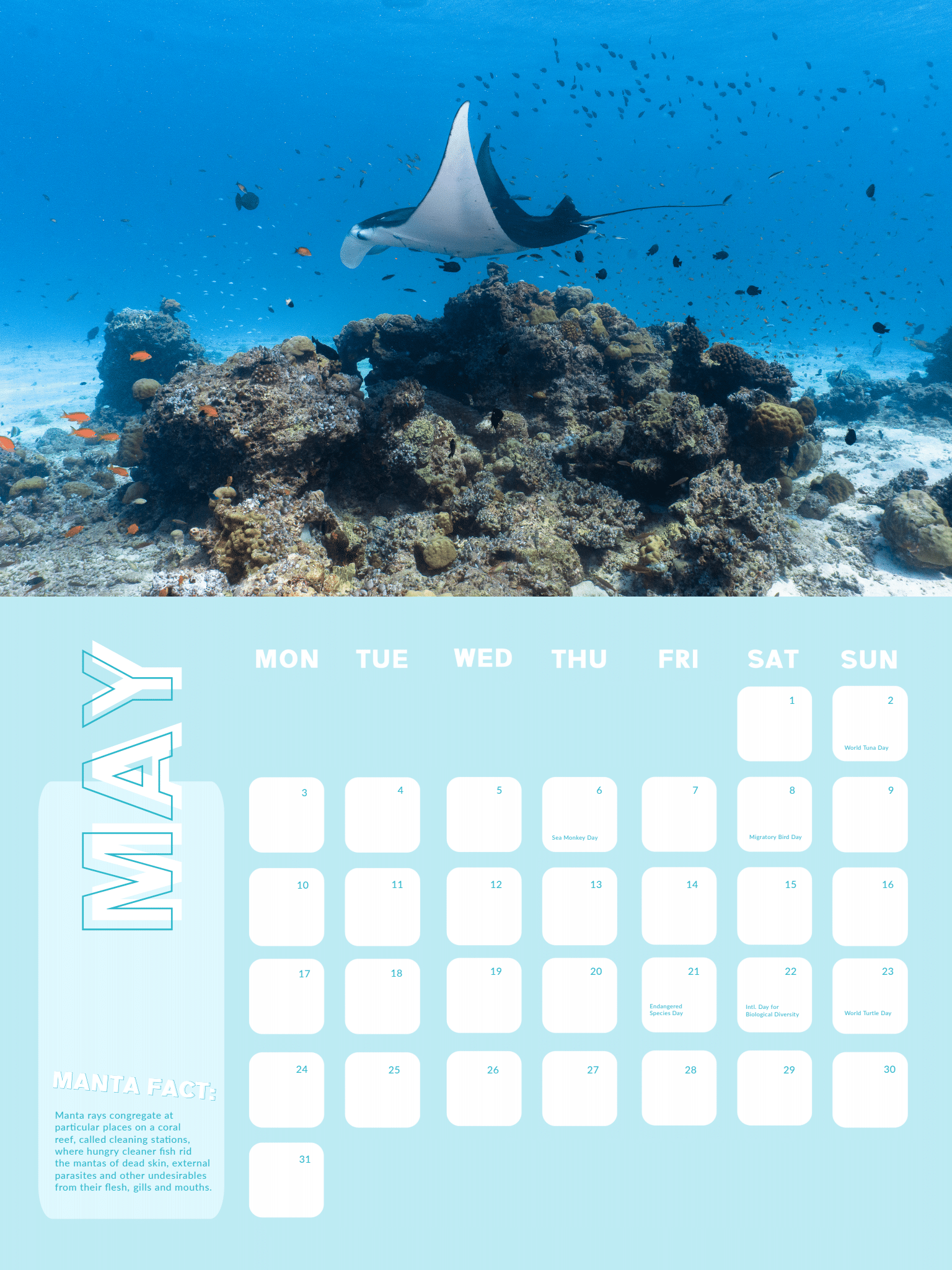 GoTagMe-Manta Ray-Calendar Manta Ray Calendar 2021