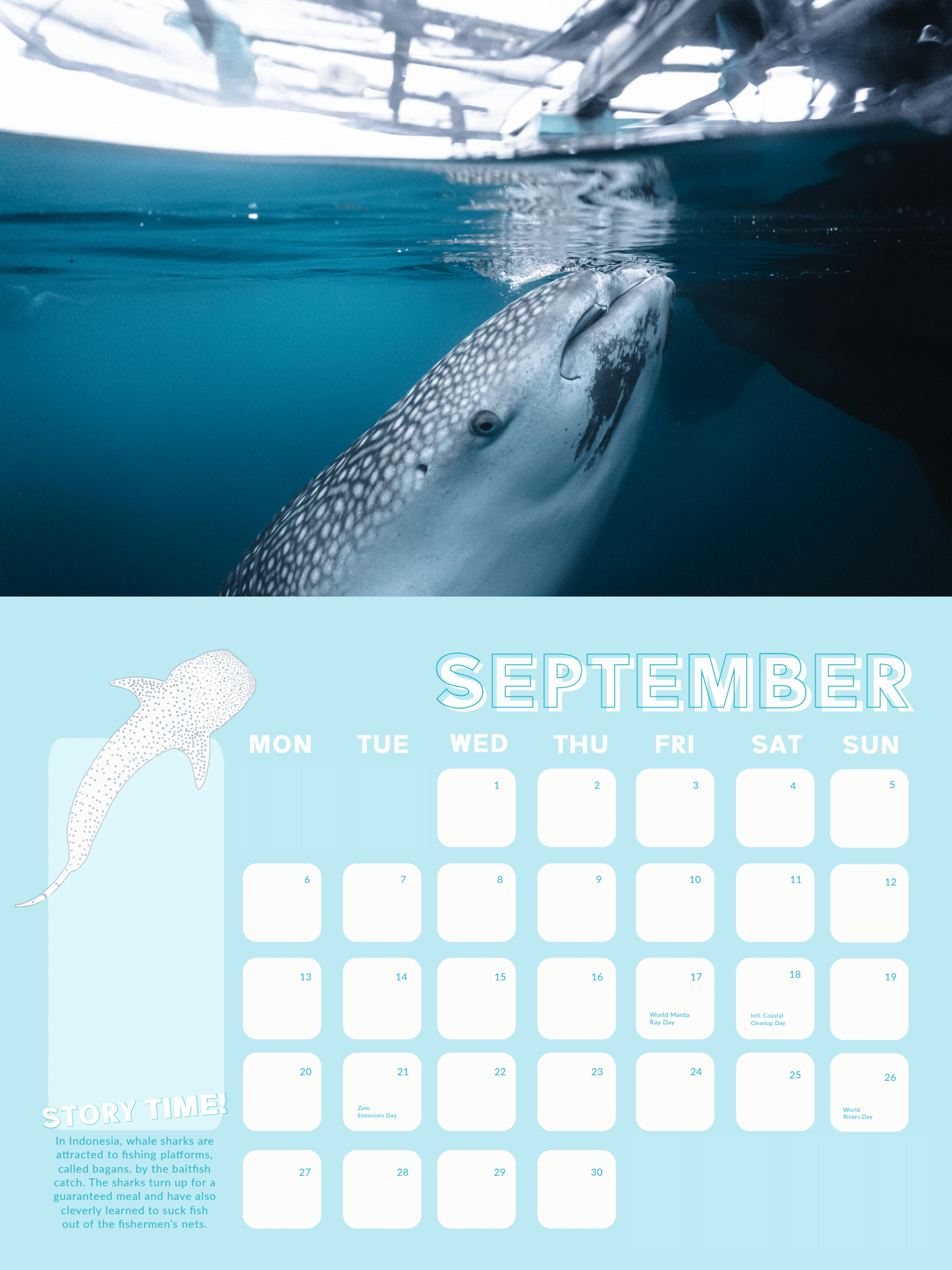 GoTagMe-Whale Shark 2-Calendar Whale Shark Calendar 2021