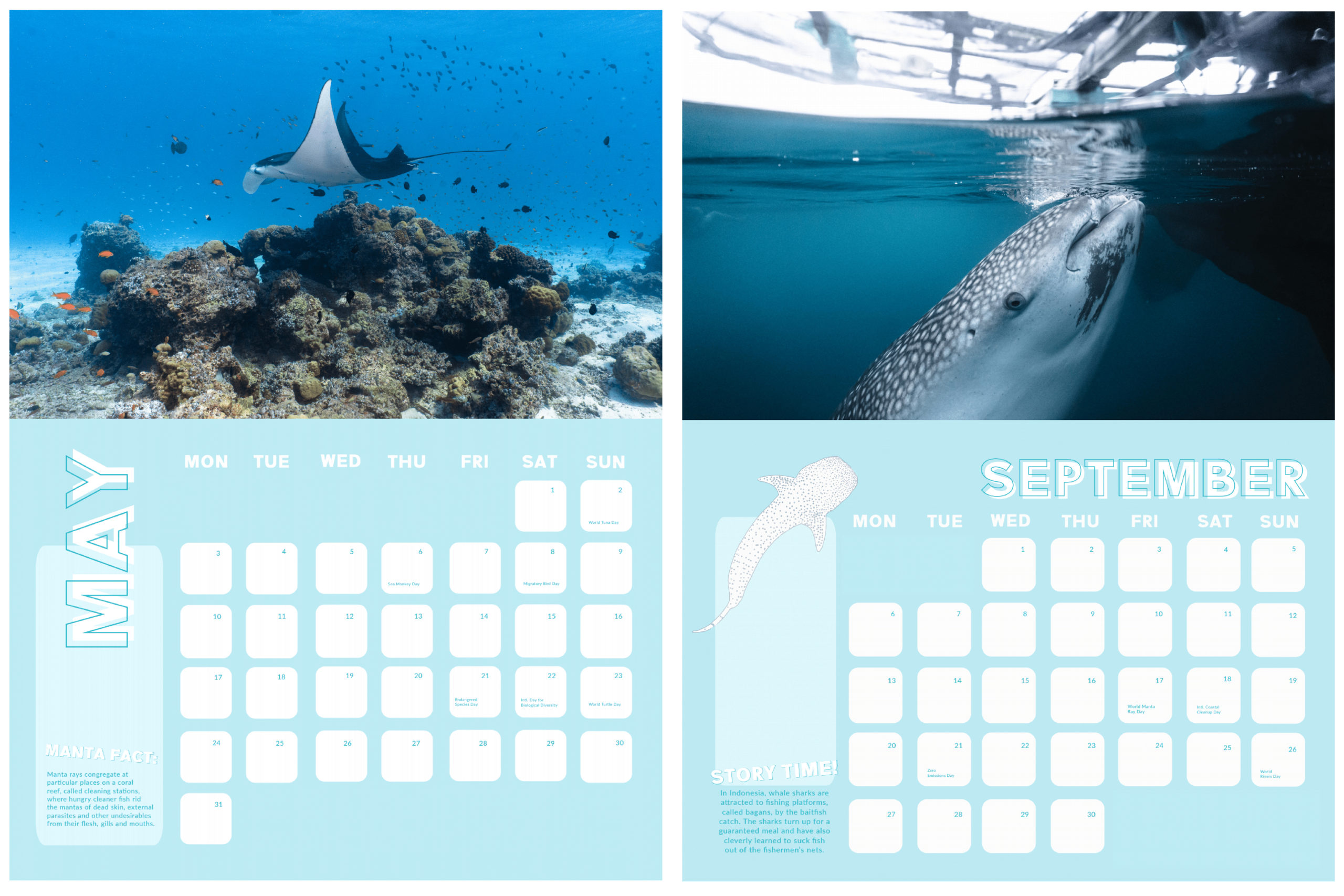 GoTagMe-Mobile-Calendar whale sharks and manta rays calendar