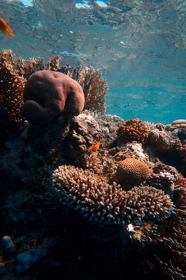 diving at tatawa kecil 