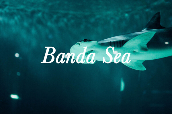 Cruise destination Banda Sea