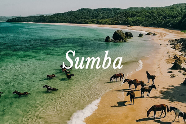 cruise destination Sumba
