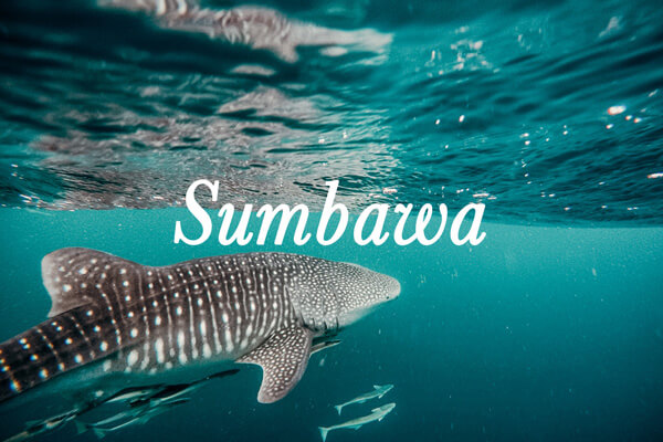 cruise destination Sumbawa