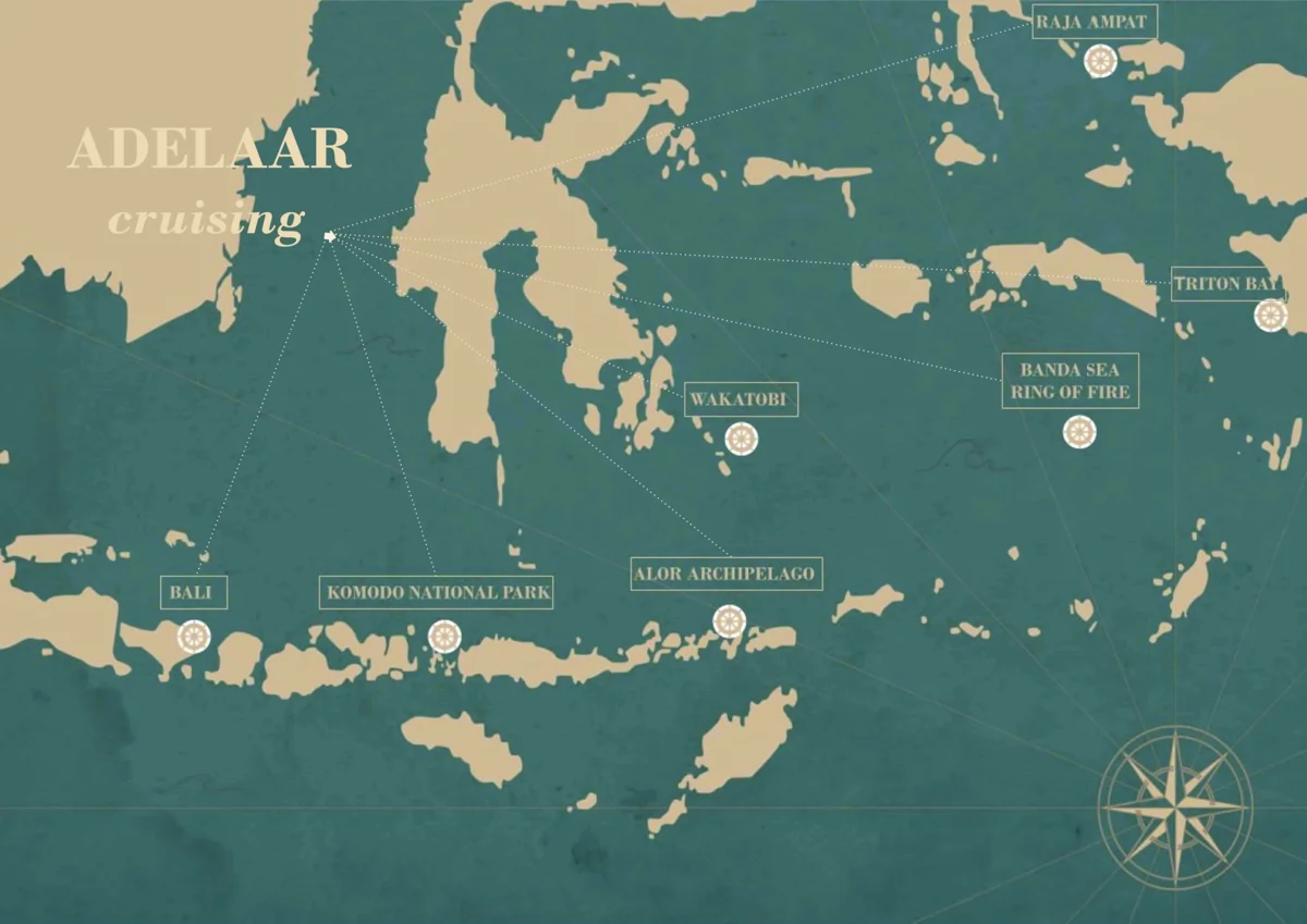 Meilleures destinations pour une croisière plongée en Indonésie