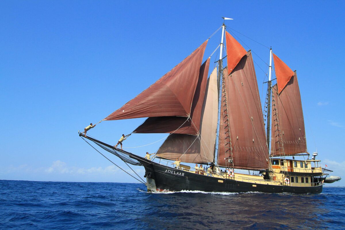 Komodo Liveaboard, Diving Cruise Komodo, Private boat Charter in Komodo, Komodo Liveaboard Luxury