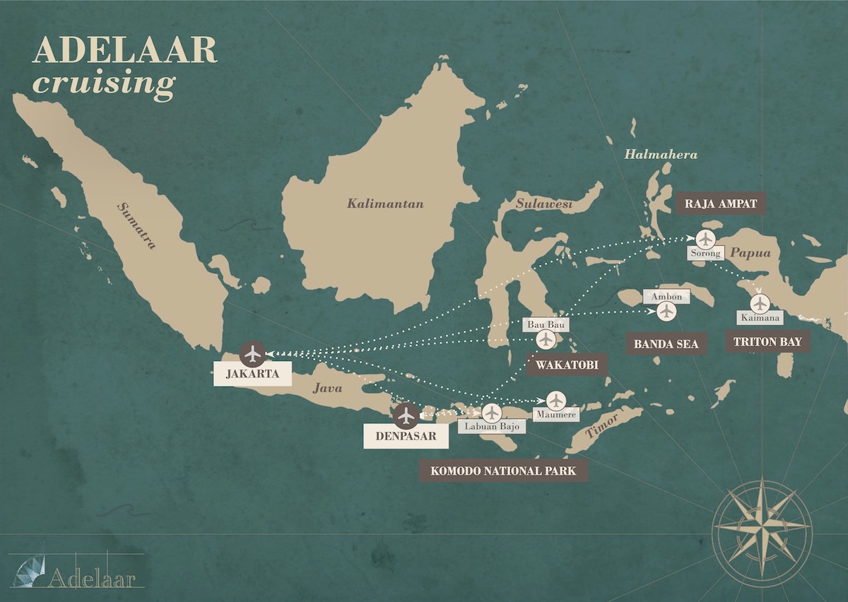 Adelaar Cruising