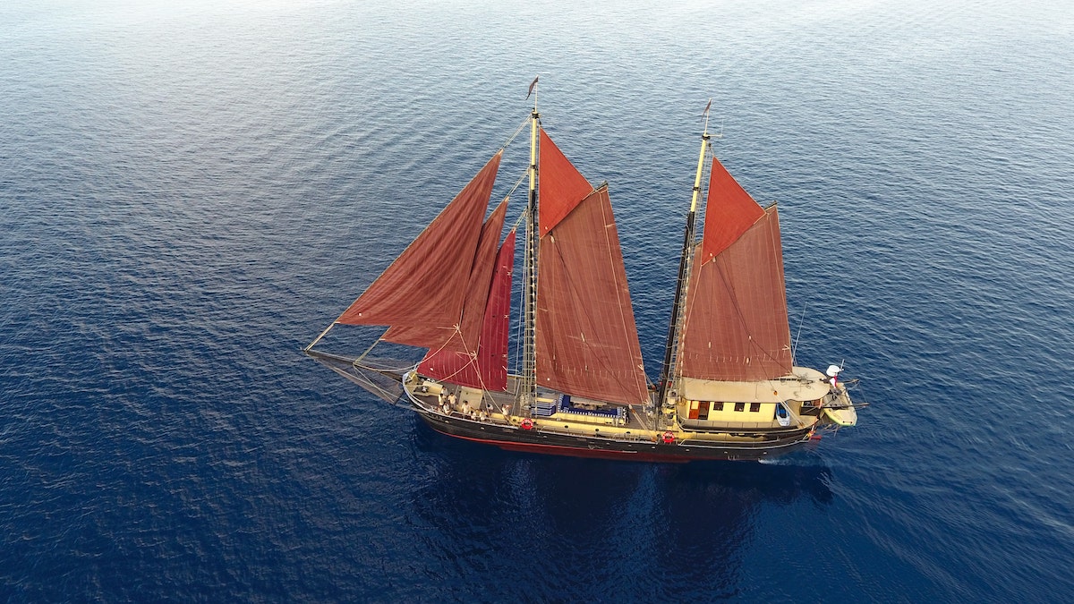 Adelaar sailing