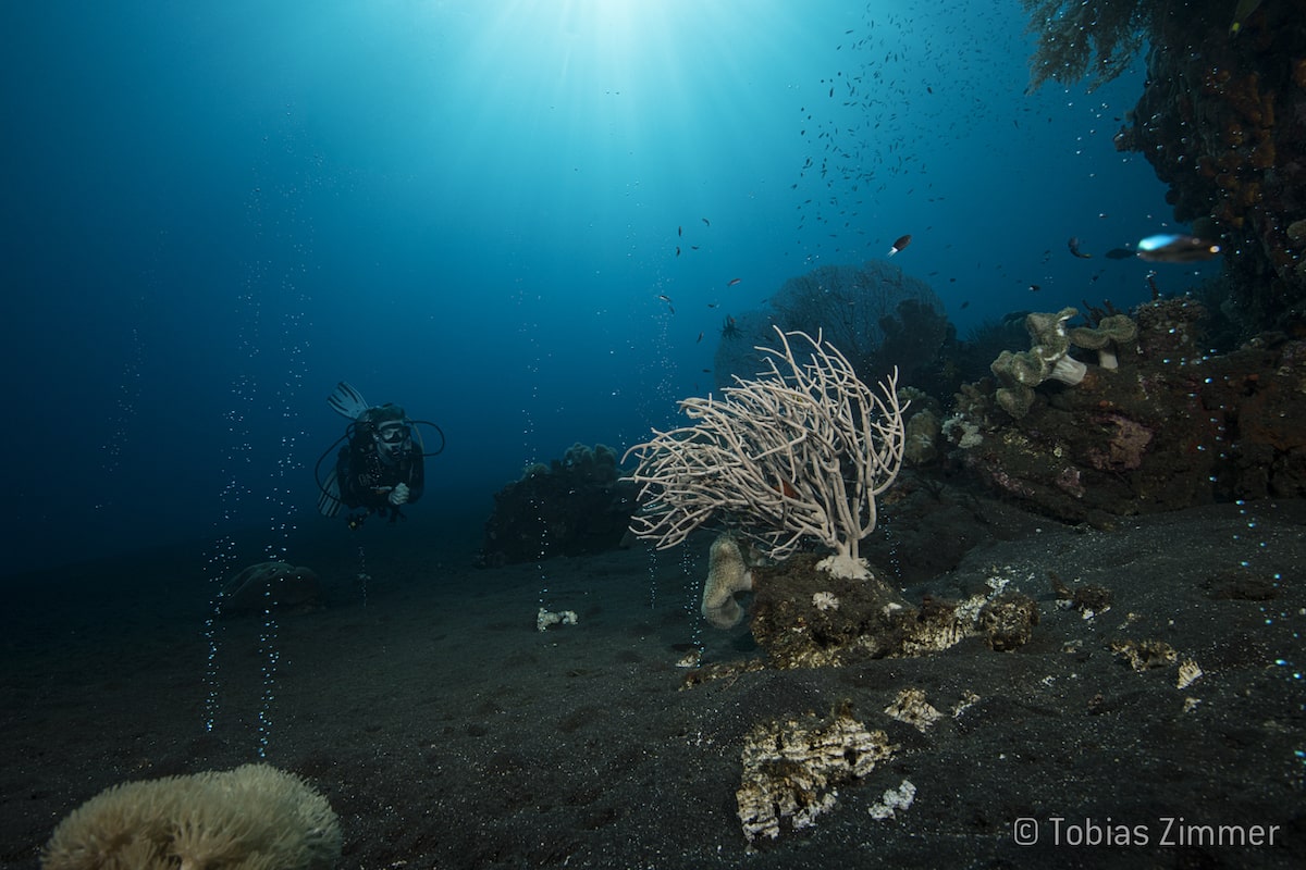Sangeang Diving